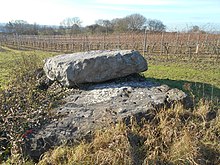 The Coffin Stone, in a vineyard Coffin Stone, Blue Bell Hill, Kent 01.jpg