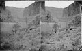 Colorado River. Marble Canyon with many varieties of cacti growing on right bank of river. Old nos. - NARA - 518004.tif