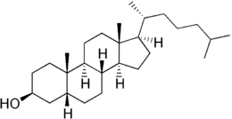 Formula scheletrica del coprostanolo