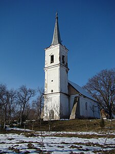 Reformed church in Coroisânmărtin