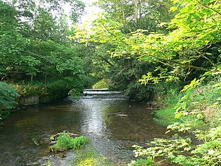 Cound Brook River in Shropshire, England
