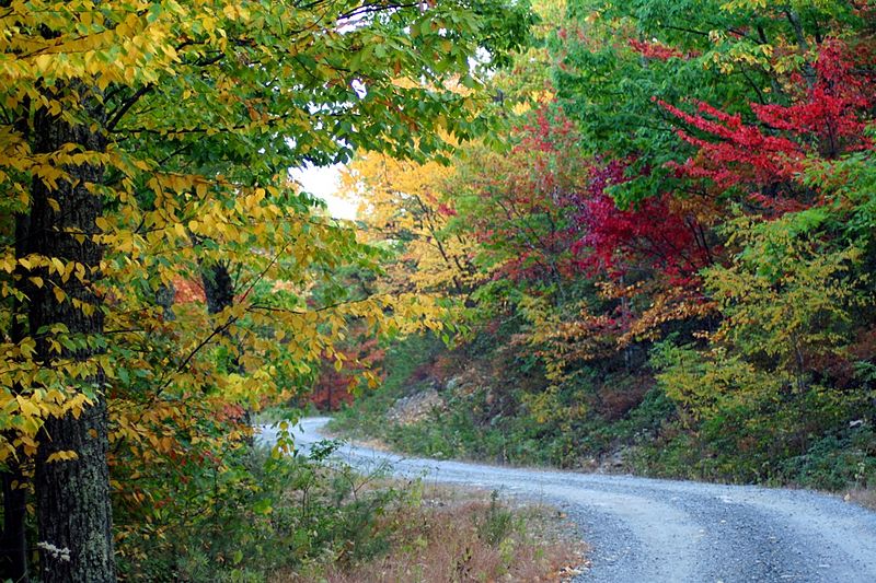 File:Country-roads-1a - West Virginia - ForestWander.jpg