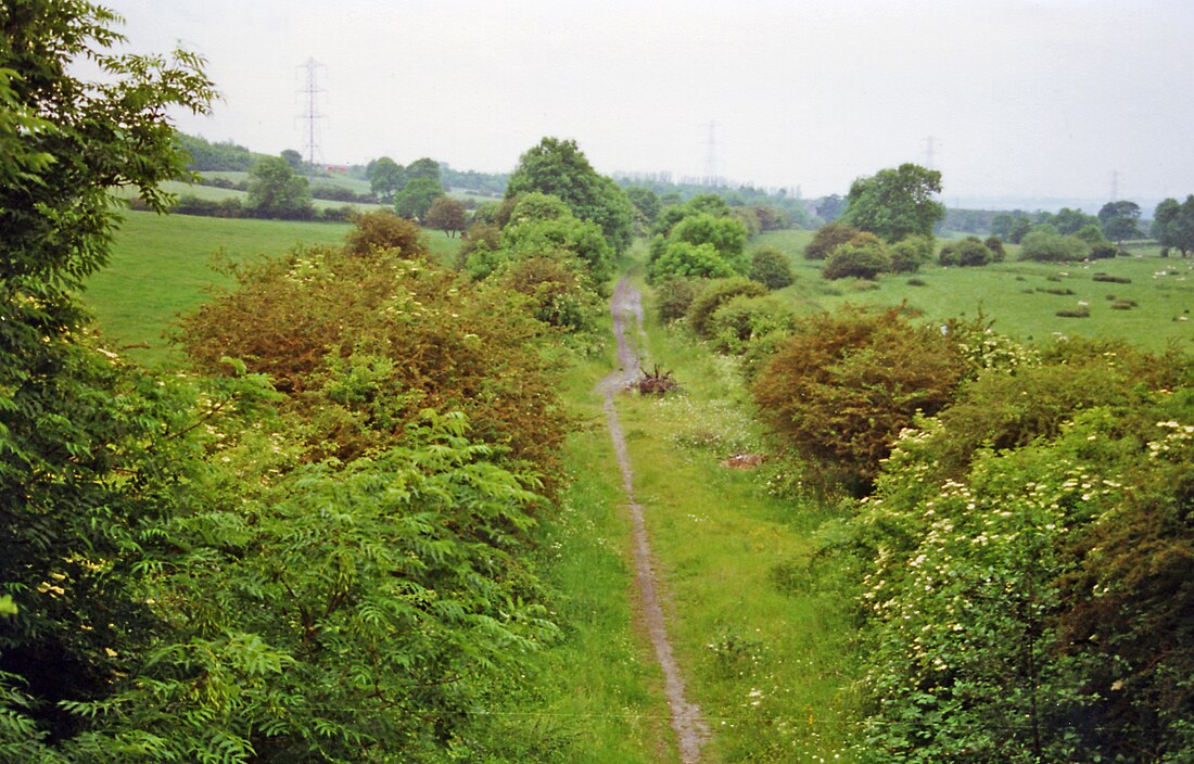 Coxhoe Bridge railway station