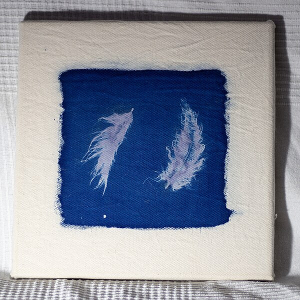 File:Cyanotype sur tissu.jpg