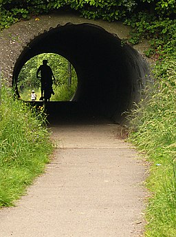 Cycle Track Tunnel - geograph.org.uk - 463134