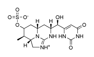 <span class="mw-page-title-main">Cylindrospermopsin</span> Chemical compound