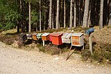 Postlådor i Skottland