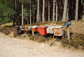Postlådor i Skottland.