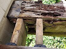 Deck beam dry rot Deck beam dry rot.jpg