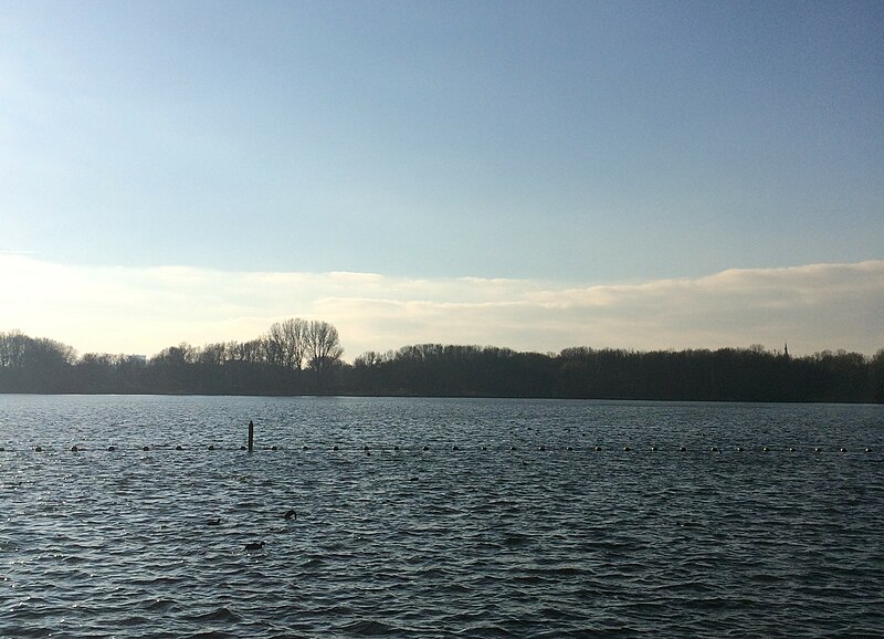 File:Delftse Hout Lake.jpg