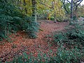 Detail of the putatively prehistoric earthworks on West Wickham Common, located between West Wickham and Hayes.