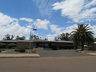<span class="mw-page-title-main">Shire of Dowerin</span> Local government area in the Wheatbelt region of Western Australia