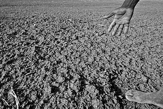 <span class="mw-page-title-main">Drought in India</span> Natural calamity