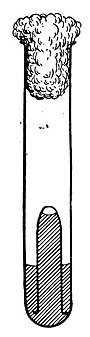 Diagram of a Durham Tube Durham tube diagram.jpg