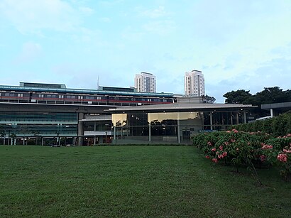 How to get to Buona Vista Station with public transport- About the place