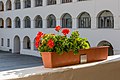 * Nomination Pelargonium cultivars at the arcades of the first floor of the former monastery (nowadays municipal office), Eberndorf, Carinthia, Austria -- Johann Jaritz 01:43, 15 March 2019 (UTC) * Promotion  Support Good quality. --Ezarate 01:52, 15 March 2019 (UTC)