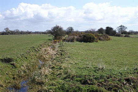 Edington Heath