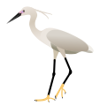 Egret.svg