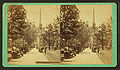 Vintage stereoscopic view of the park