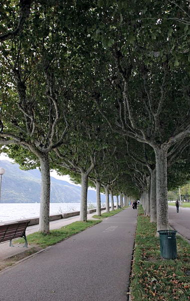 File:Esplanade aix-les-bains.jpg