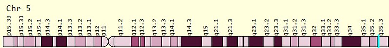 File:FAM153A gene loc.jpg