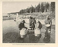 FMIB 37630 Collecting the eggs of black-spotted trout, Yellowstone National Park.jpeg