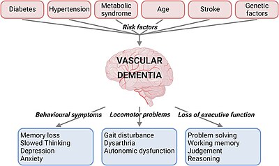 Risk factors and clinical characteristics for vascular dementia Fcvm-08-803169-g0001.jpg