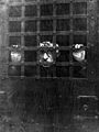 First photograph of Leon F. Czolgosz, the assassin of President William McKinley, in jail.jpg