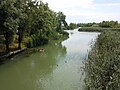 Il fiume Sile a Musile di Piave.