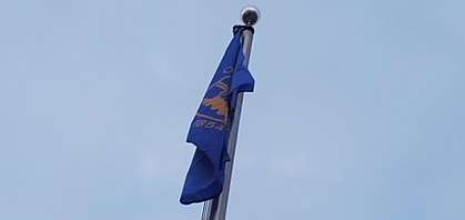 Flag of O'Fallon