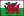 Flag of Wales (bordered).svg
