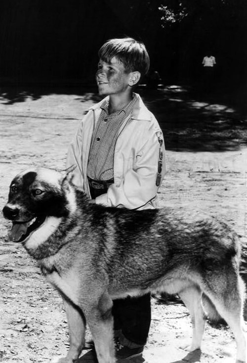 Flip Mark as Brook Hooten with Tonka (1961)