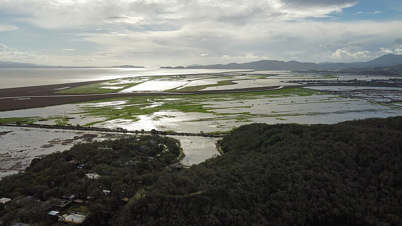 File:Flooded Pastures in Northeastern Novato.jpg