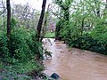 Flooding in McLean IMG 20140430 151415 (14073730971).jpg