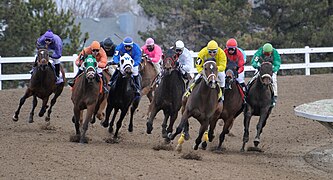 Horse race at Fonner Park, Nebraska