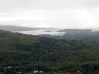 <span class="mw-page-title-main">Glengarriff Forest</span> Nature Reserve in County Cork, Ireland