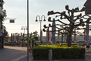 English: Along the lakeside promenade in Friedrichshafen. Deutsch: Entlang der Uferpromenade in Friedrichshafen.