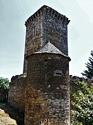 La tour d'angle nord-ouest et le donjon.