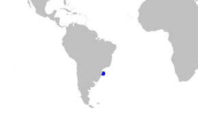 Kuvaus Galeus_mincaronei_distmap.png-kuvasta.