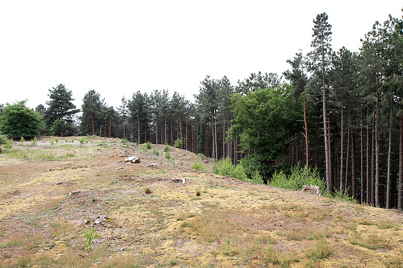 File:Galley Hill Iron Age Fort - geograph.org.uk - 2443113.jpg