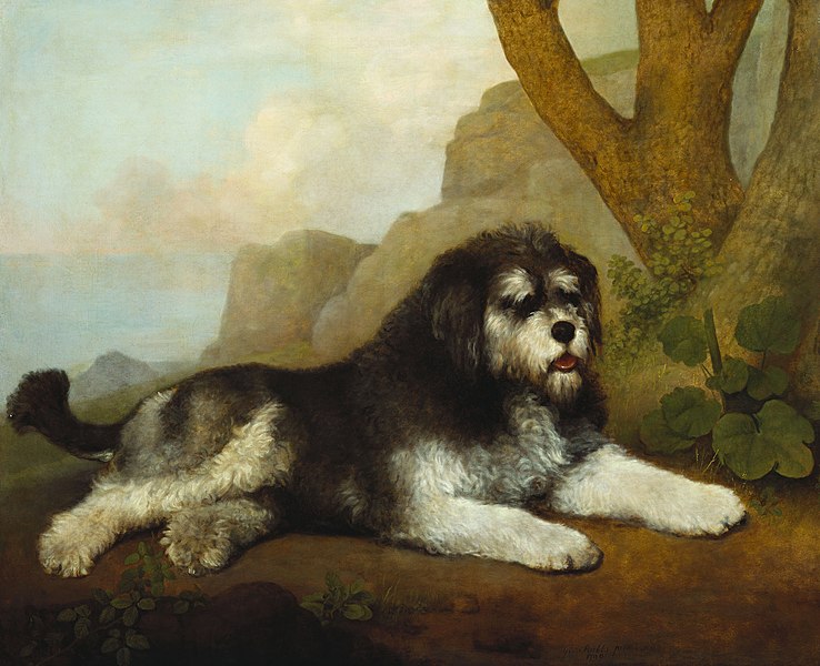 File:George Stubbs (1724-1806) - A Rough Dog - RCIN 405001 - Royal Collection.jpg