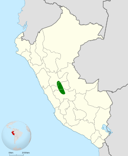 Distribución geográfica del tororoí de Oxapampa.