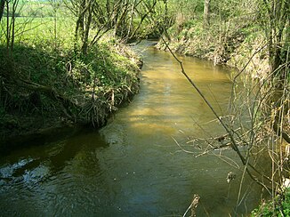 Große Gusen near Engerwitzdorf