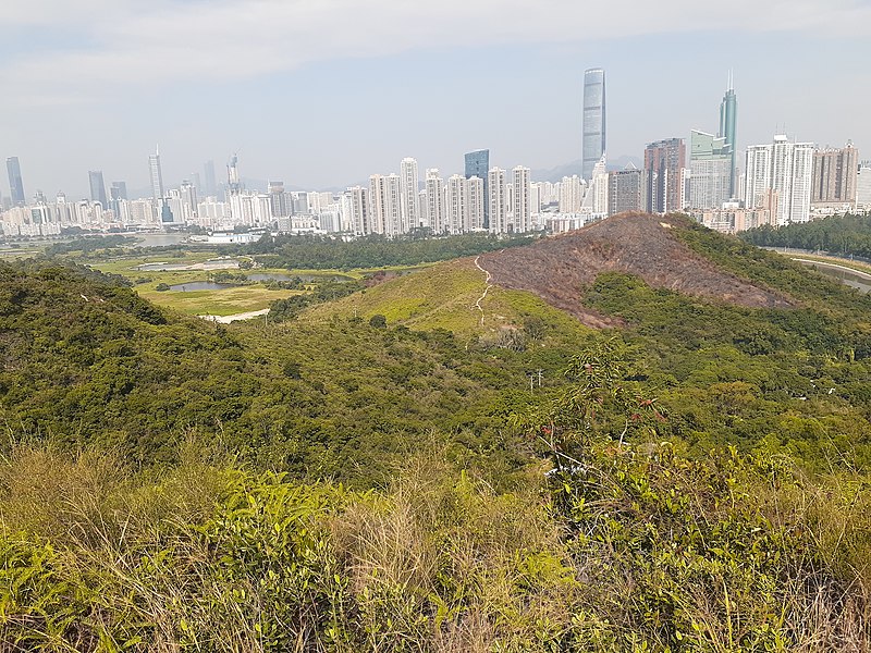 File:HK North District Hiking 大石磨 Tai Shek Mo hill mountain November 2020 SS2 20.jpg