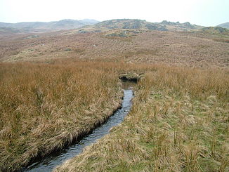 The Haskew Beck