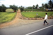 von Nha Trang nach Saigon