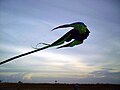 flying at impian kite flying field
