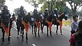 Mounted police on parade in O'polis.