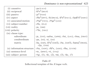 A table defining the order of how suffixes attach in the A'ingae language, created by Maksymilian Dabkowski