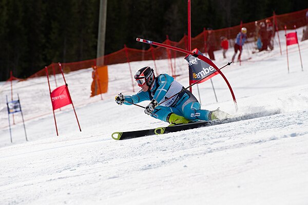 A skier attacks a gate in GS